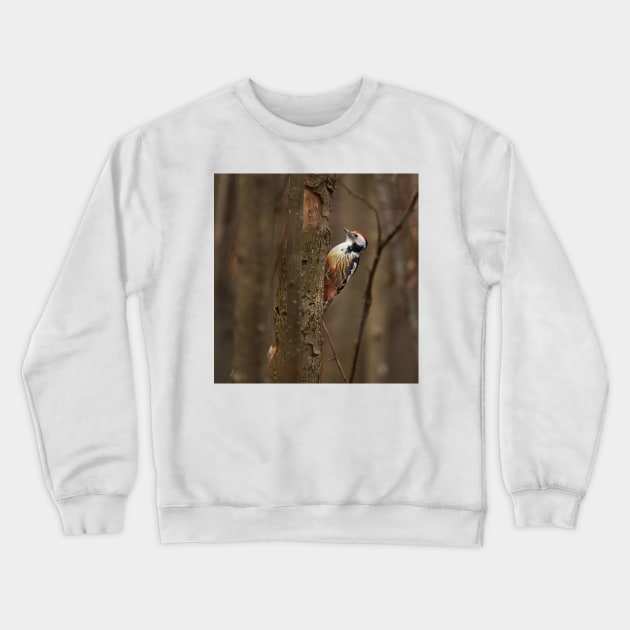 Middle spotted woodpecker on a tree Crewneck Sweatshirt by naturalis